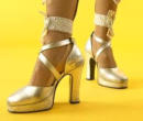 Fancy shoes