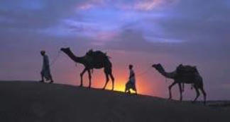 jaipur camel safari